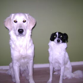 Blondie en Jessy