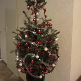 Mijn inimini kerstboom.