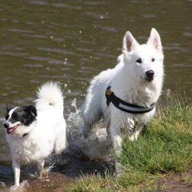 Jessy en Storm