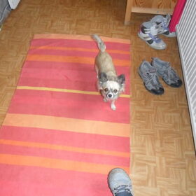 in slaapkamer bij kindje