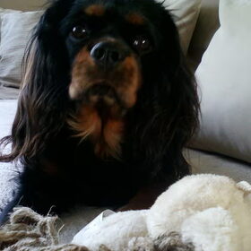 Met zn favoriete knuffel :)