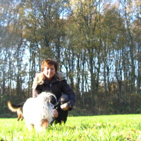 Hondenfoto van liesbeth,Turbo,Luna, Levi en Faith