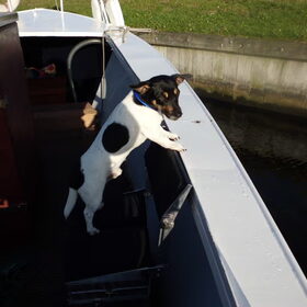 Wal in zicht....schipper ik moet even een plasje doen..