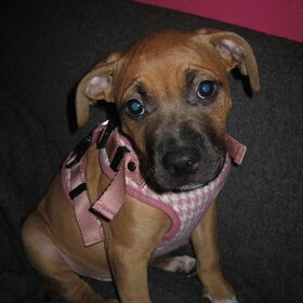 Even mooi poseren!