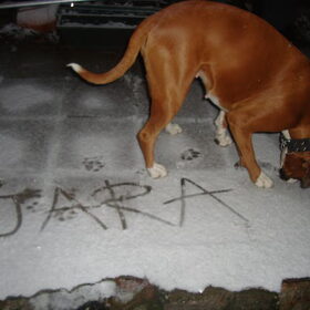 eerste "sneeuw"