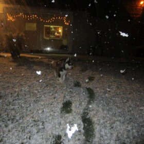 Spelen in de sneeuw