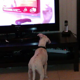 Hey mijn serie is op tv!