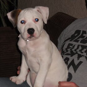 Ons Flappie hihihi