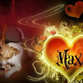 Hondenfoto van  Sabine en Mini Max 