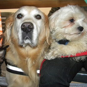 Trudy, Tibo & Dempsey