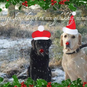 Fijne kerstdagen en een gelukkig 2012!