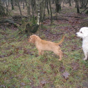 samen op de hei