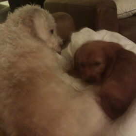 samen knuffelen op de bank