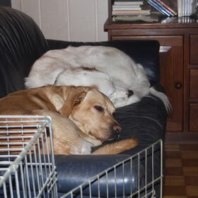 Samen op de bank