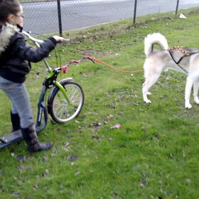 Sunny klaar met steppen, hij mocht weer snuffelen enz.