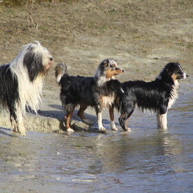 Wat is dat?