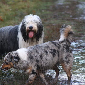 Duuk en Bonnie