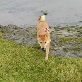 Kenai aan de Sint-Pietersplas :)