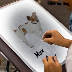 Hondenfoto van  Sabine en Mini Max 