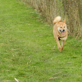 Kenai aan de Sint-Pietersplas :)