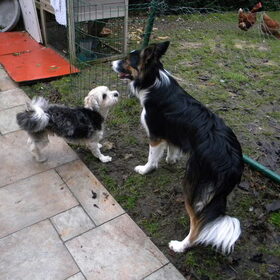 Taiko & Spot