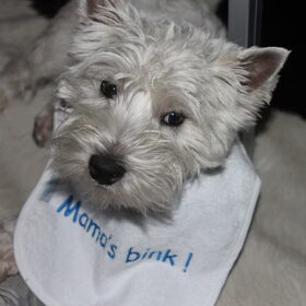 Mama's Bink!