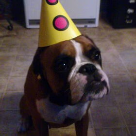 1 jaar oud :)