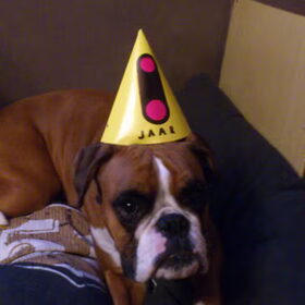 jara 1 jaar