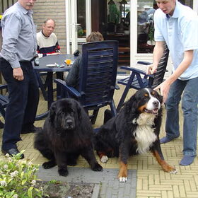 En toen kwam er visite tjonge wat gezellig