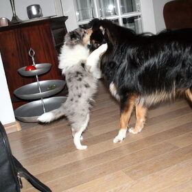 Spelen met mijn beste vriend(L)