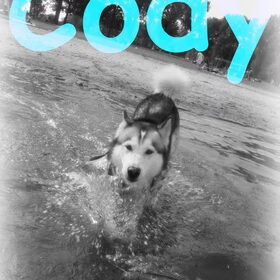 voor cody