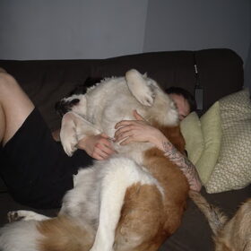 dikke knuffel ven Larah!
