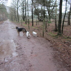 Turbo,Levi en Spike worden al echte vrienden.