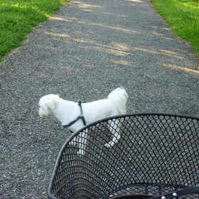 aug.2011 in het park