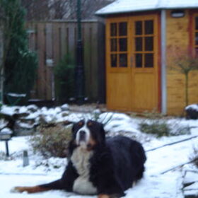 Sneeuw ja was het helemaal