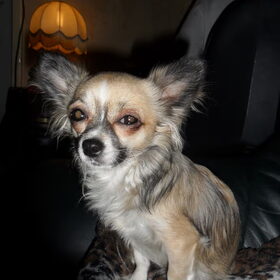 mizka word 01 02 2012 twee jaar