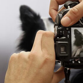 Hondenfoto van Madelon&Baloe
