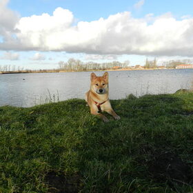 Kenai