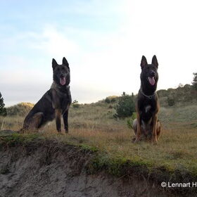 2e kerstdag was het zulk mooi weer, dat we lekker zijn wezen…