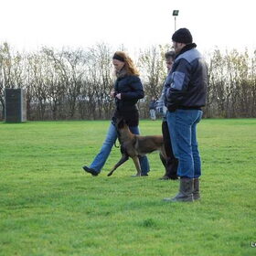 Hondenfoto van Mechelse herders 