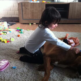Hondenfoto van Ali  &  Rocky