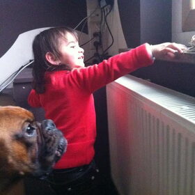 Hondenfoto van Ali  &  Rocky
