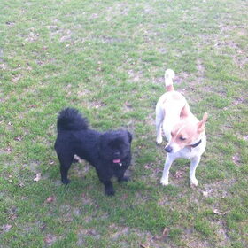 max en spike