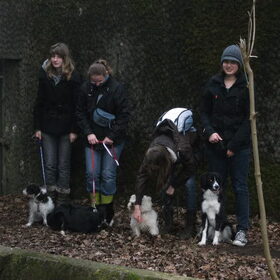 foto van de groep