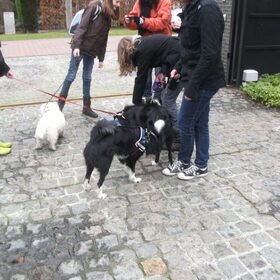 de pitstop