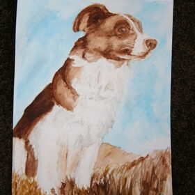 Border Collie aquarel iets dichterbij