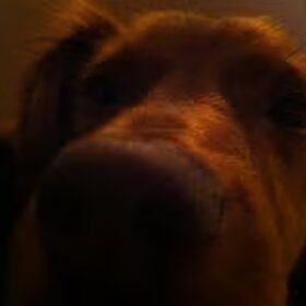 Close up.