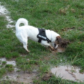 In de modder spelen..