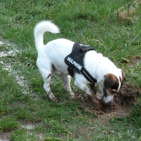 Modder.