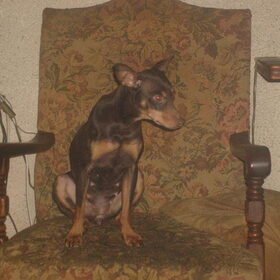 Tessa, ook wel Wuf genoemd, ook een hele lieve schat.